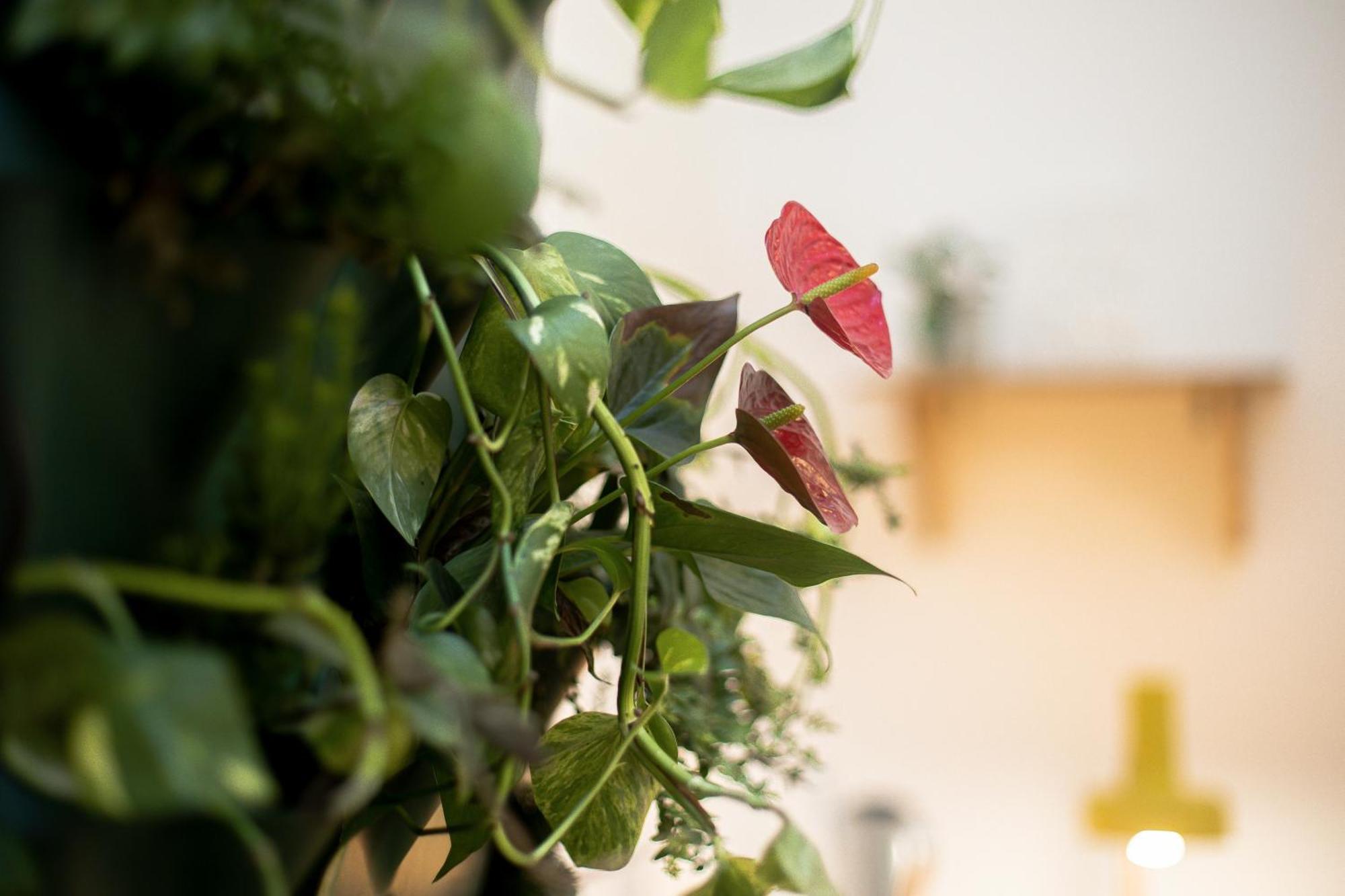 Budapestayz - Lonyay Studios — Photos 1